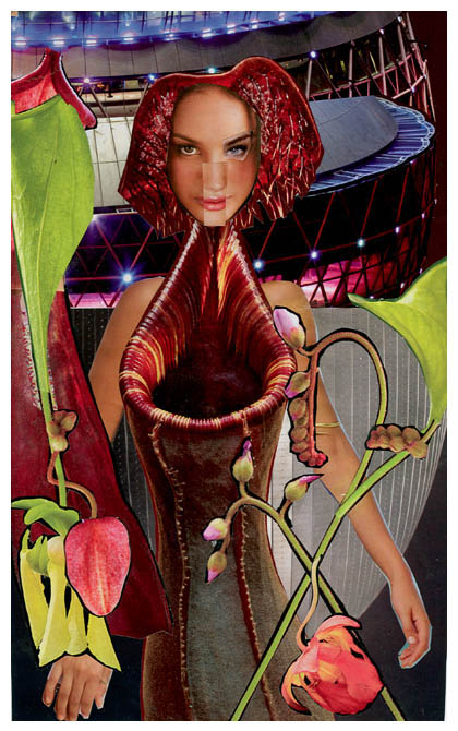 Pitcher Plant Woman